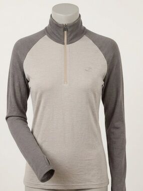 Icebreaker Bodyfit 260 Merino Wool Half Zip Pullover Mens XL Gray Base Layer
